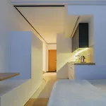 Gyneju Self Check-In Apartments